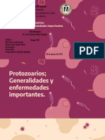 Exposición Protozoarios