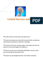 Central Nervous System