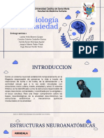 Neurobiologia de La Ansiedad