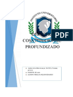 Derecho Constitucional Profundizado