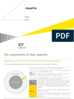 Risk Appetite Overview Iia Presentation