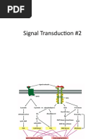 Signal Transduction Lecture 2