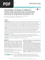 Fermentation of Lactose To Ethanol in Cheese Whey