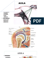 Axila Plexo Vascular 