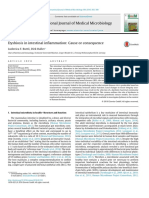 Dysbiosis in Intestinal Inflammation: Cause or Consequence