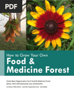 Ozark Akerz - Grow Your Own Food & Medicine Forest 2023 Update