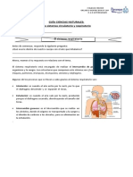 Guia de Octavo Ciencias Naturales