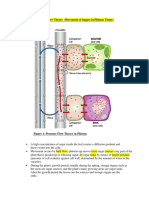 15C-Pressure Flow Theory