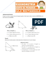 Triangulo Rectangulo para Quinto de Primaria