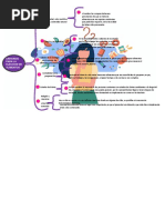 Cuadro Sinoptico 1