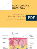 Histologi Piel