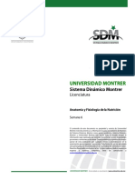 Anatomía y Fisiología de La Nutrición Semana 6