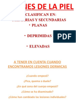 Lesiones de La Piel