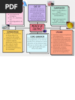 Mapa Conceptual de Los Medios de Cultivos