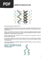 Apuntes Genética Molecular