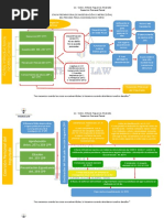 ESQUEMAS Etapa Preparatoria o de Investigación