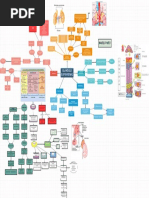 Glandula Suprarrenal Mapa Mental