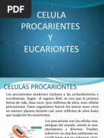 Celula Procarientes