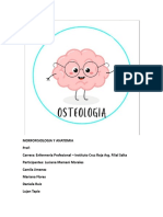 Osteologia HH-1 