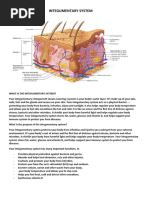 Integumentary System