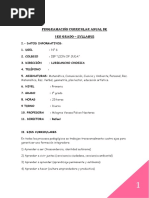 PROGRAMACION-CURRICULAR-ANUAL-1-grado 2023 PDF