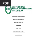 Ensayo Derecho Mercantil 1