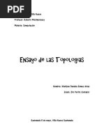 Ensayo de Las Topologías, Daniela Gómez