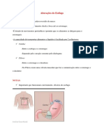 Alterações Do Esófago