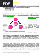 Resumen Sonbre Intervención Nutricional