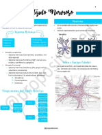 UNIDAD 11 - Tejido Nervioso