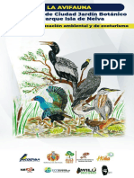 Catalogo Avifauna Neiva V2