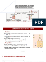 A Clase 16 Enfermedades Genéticas 2018 2