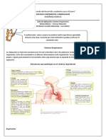 Guia N°2 Sistema Respiratorio