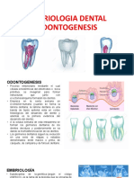 Embriologia Dental