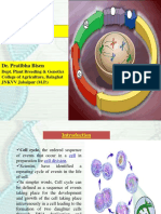 Cell Cycle