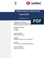 S3 - Tarea 3.2 - Primer Avance de Proyecto de Consultoría