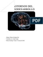 Manual de Los Trastornos Del Neurodesarrollo