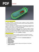 Células Procariotas y Celulas Eucariotas Edmodo