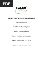 Desarrollo Una Mirada Alternativa