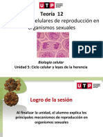 Semana 12 PDF