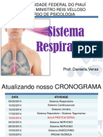 Sistema Respiratório