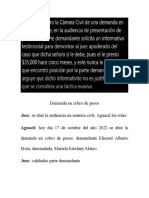 Juicio de Demanda en Cobro de Peso