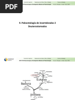 09 Paleontología Invertebrados 2