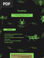 Insetos