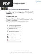 Abera & Mossie. 2022. A Review On Pneumonic Pasteurellosis in Small Ruminants