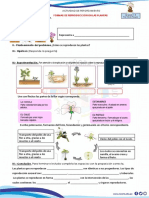 Actividad de Reforzamiento - Formas de Reproducción en Las Plantas