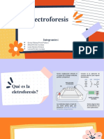 Diapositivas Electroforesis