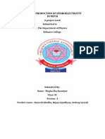 PDF Document