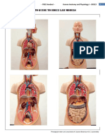 Bio 23 Models Photo Guide