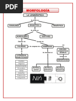 Morfologia - Comunicación